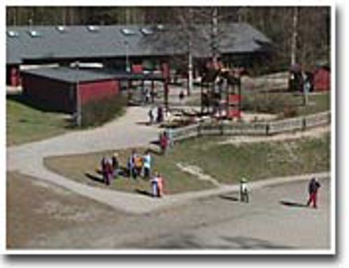 Image (2)