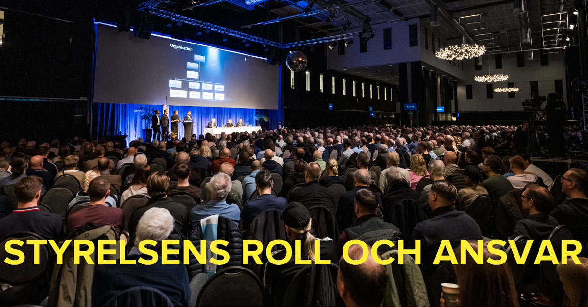 Styrelsens Roll Och Ansvar