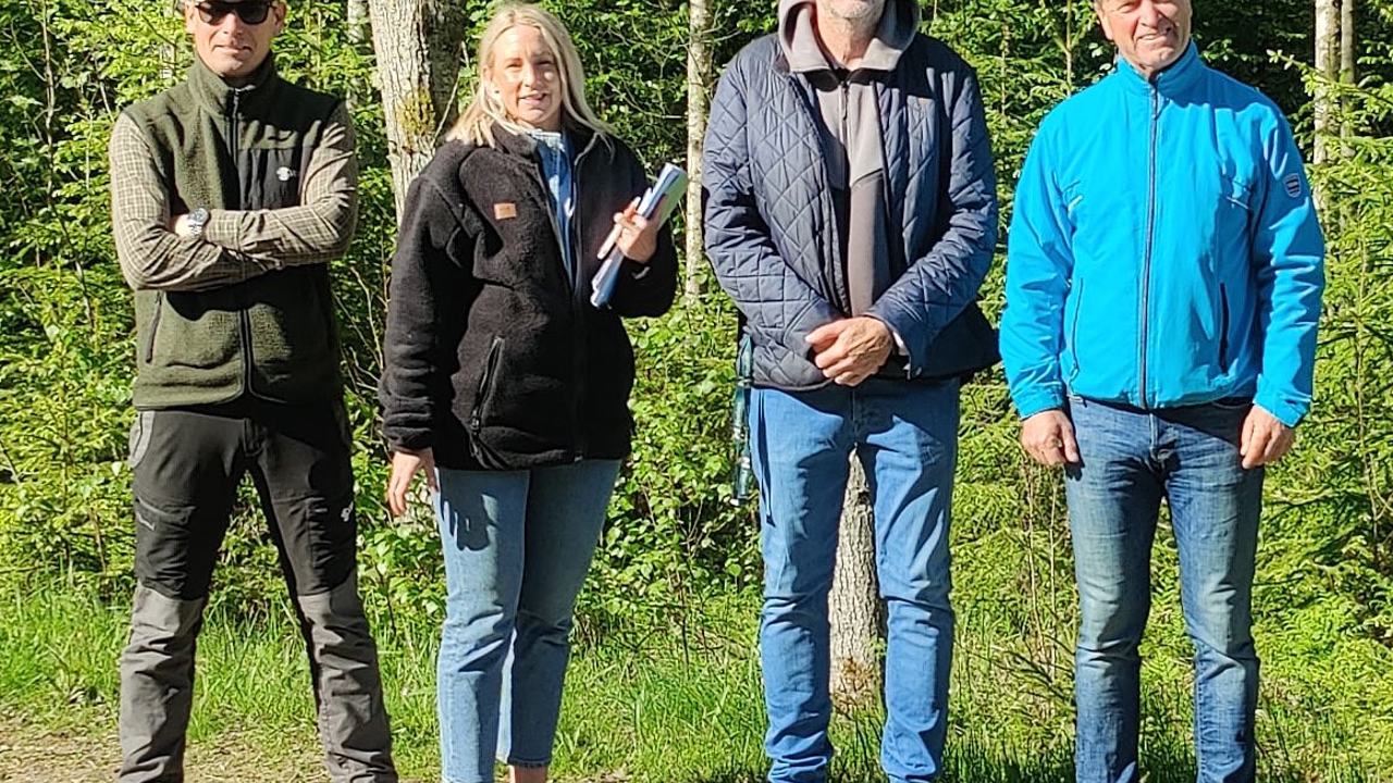 Skogsbild