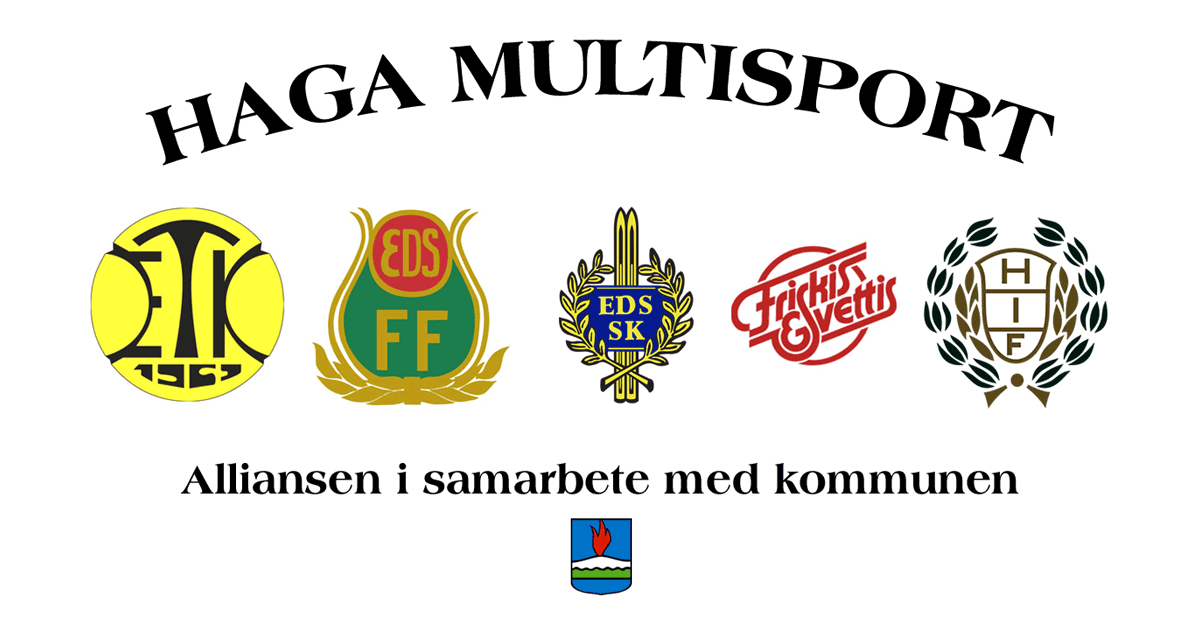Logotyp Haga Multisport