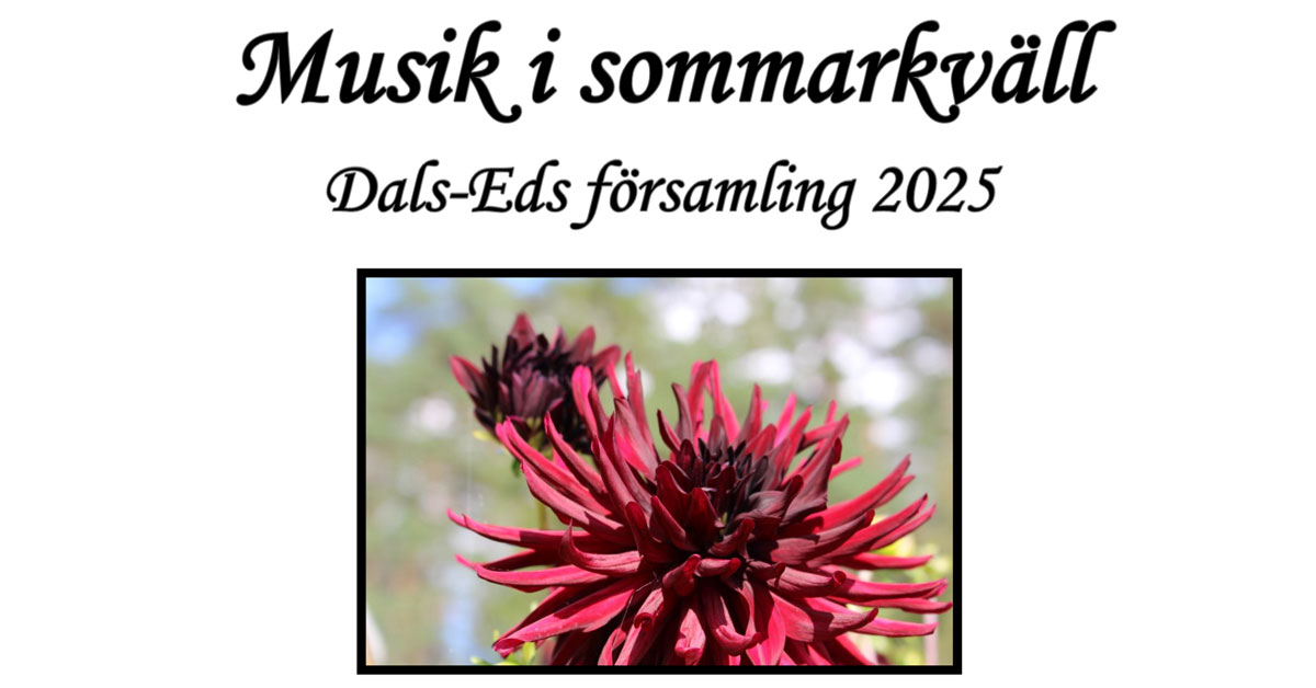 musik-i-sommarkvall-2025