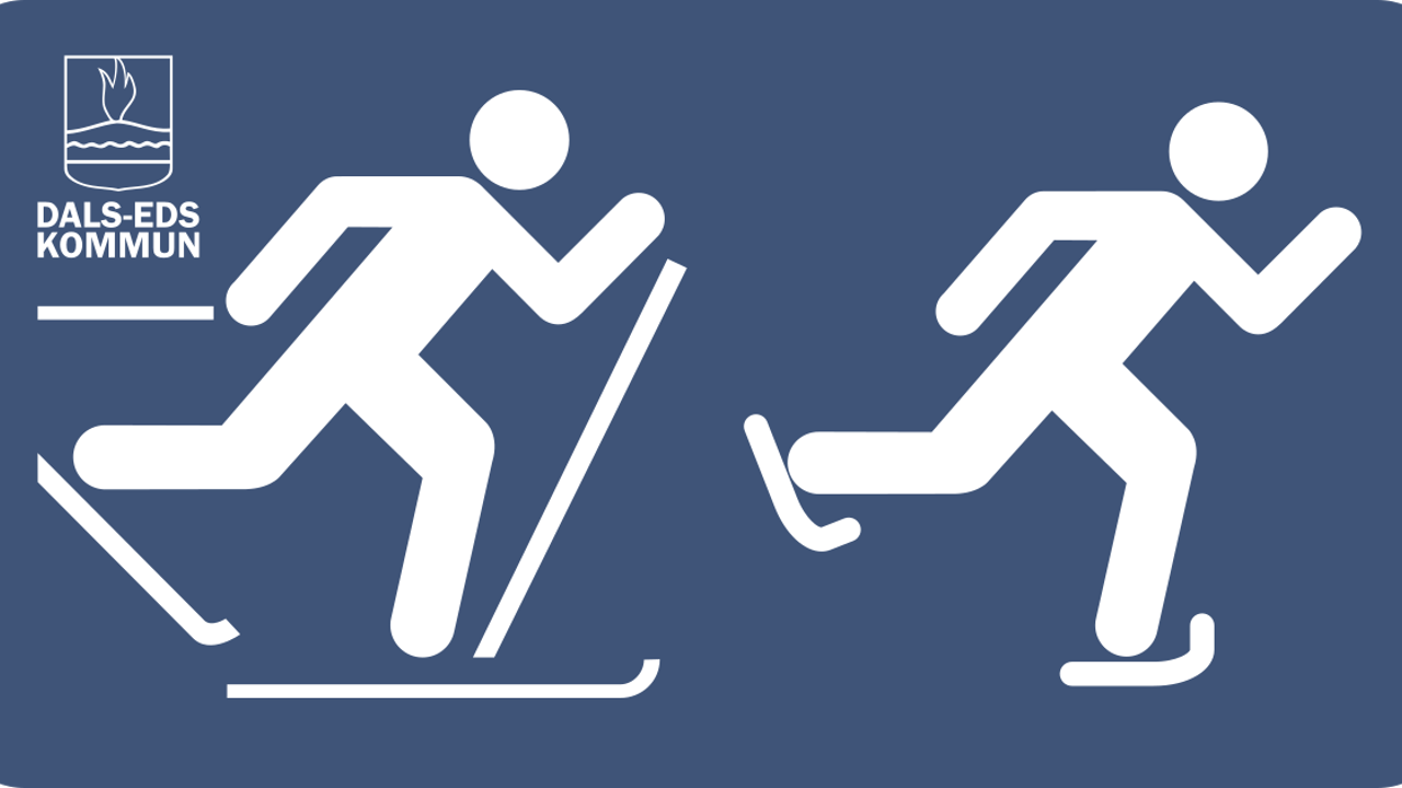 Skiskate