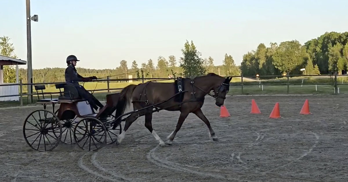 kortavling