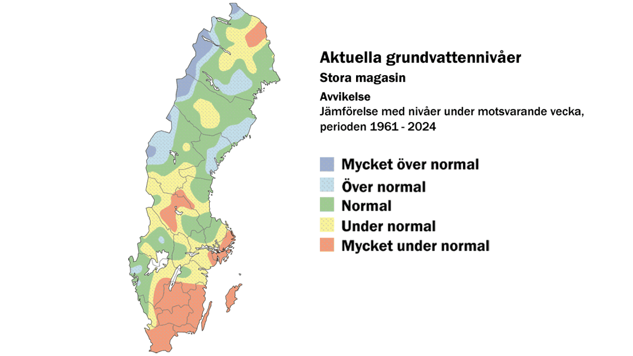 Veckokarta Niva Stora 2025