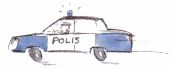 Polisbil